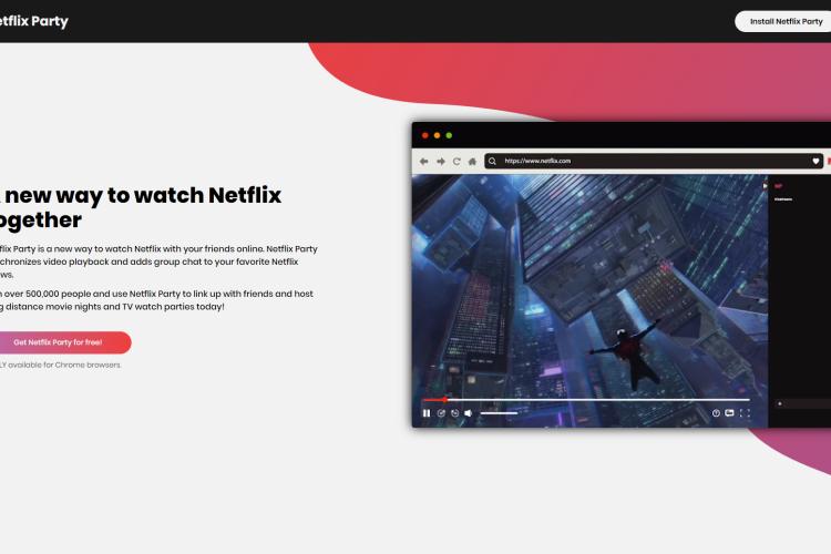 The Netflix Party Video App